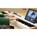 Arturia Piano V2 電鋼琴軟體 (序號下載版)