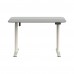 Backbone Allround Desk 電動升降桌