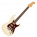 Fender American Professional II Stratocaster Rosewood 電吉他
