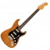 Fender American Professional II Stratocaster Rosewood 電吉他