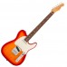 Fender Player II Telecaster Rosewood 電吉他