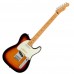 Fender Player Plus Nashville Telecaster Maple 電吉他