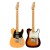 Fender Player Plus Nashville Telecaster Maple 電吉他
