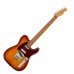 Fender Player Plus Nashville Telecaster Pau Ferro 電吉他