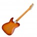 Fender Player Plus Nashville Telecaster Pau Ferro 電吉他