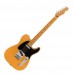 Fender Player Plus Telecaster Maple 電吉他