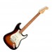 Fender Player Stratocaster HSS Pau Ferro 電吉他