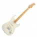 Fender Player Stratocaster Maple 電吉他