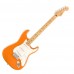 Fender Player Stratocaster Maple 電吉他