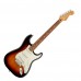 Fender Player Stratocaster Pau Ferro 電吉他