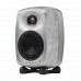 GENELEC G Two G2 主動式監聽喇叭