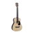 Martin LX1R Little Martin 面單板 木吉他