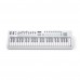 Novation Launchkey 49 MK4 主控鍵盤