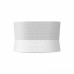 SONOS Era 300 高階智慧喇叭