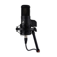 Warm audio wa-8000 + 未使用替え真空管 WARM AUDIO ( ウォームオーディオ ) WA-8000 真空管コンデンサー