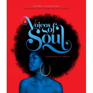 EastWest Voices of Soul 靈魂人聲取樣音源 Plugins (序號下載版)