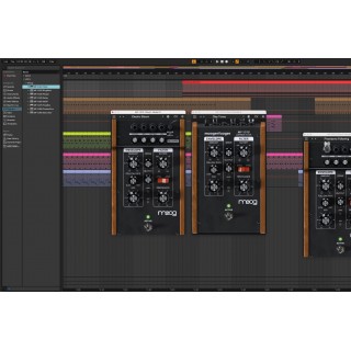 Moog Moogerfooger MF-101S Low pass Filter 效果器 Plug-ins (序號下載版)