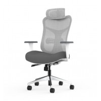 Backbone - Kabuto™ 人體工學椅 全能居家款 - 經典白框