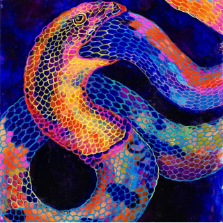 專輯 - 電音製作人 Dusa Naga 首張全新專輯 Metamorphosis 親筆簽名-限量黑膠