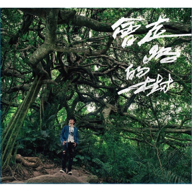 專輯 - 王宏恩 -《會走路的樹》