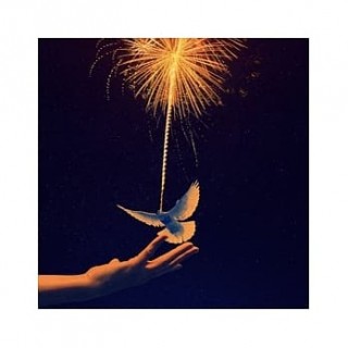 專輯 - 海龜先生 -《咔咪哈咪哈》