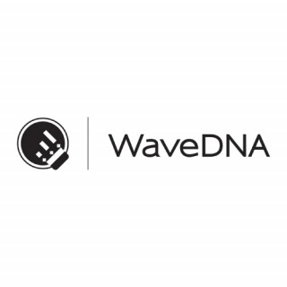Wave DNA 效果器
