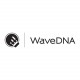 Wave DNA